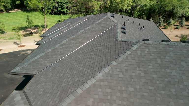 Best Roof Moss and Algae Removal  in Elverson, PA