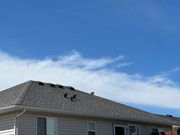 Best Gutter Replacement  in Elverson, PA